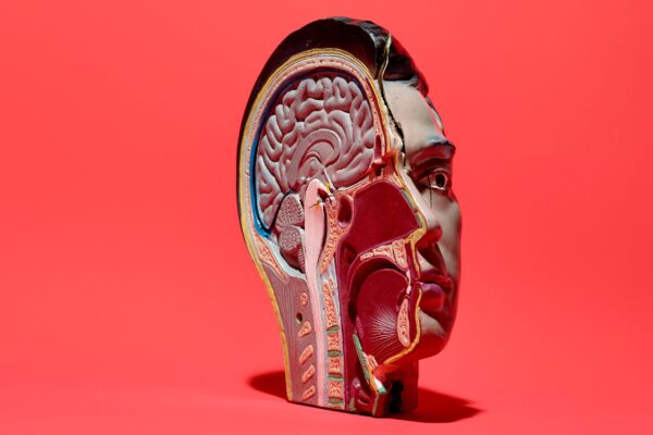 Will We Ever Cure Alzheimer’s?