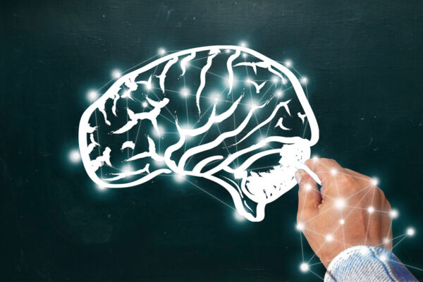 Mind’s quality control center found in long-ignored brain area