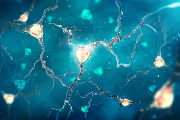 Link between 2 key Alzheimer’s proteins explained