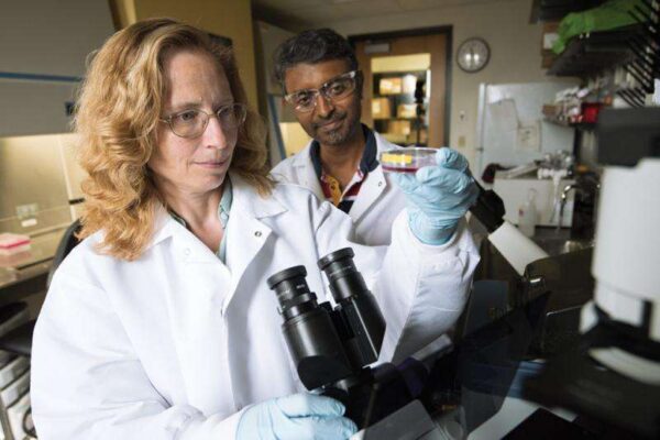 A multifaceted approach aims to detect, treat and even reverse the disorder