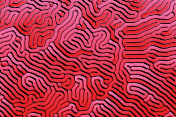 How St. Louis researchers are seeking ways to combat Alzheimer’s and dementia