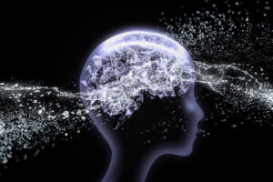 Rejuvenating the immune cells that live in tissues surrounding the brain improves fluid flow and waste clearance from the brain — and may help treat or even prevent neurodegenerative diseases such as Alzheimer’s and Parkinson’s, according to a study by researchers at Washington University School of Medicine in St. Louis.