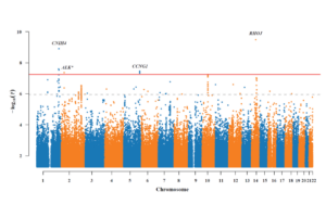 Image showing the three chromosomal locations identified in this study on a graph.