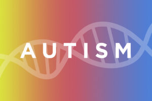 Scientists, led by a team at Washington University School of Medicine in St. Louis, have linked mutations in a single gene to autism in people with neurofibromatosis type 1. The findings may lead to a better understanding of the genetic roots of autism in the wider population.