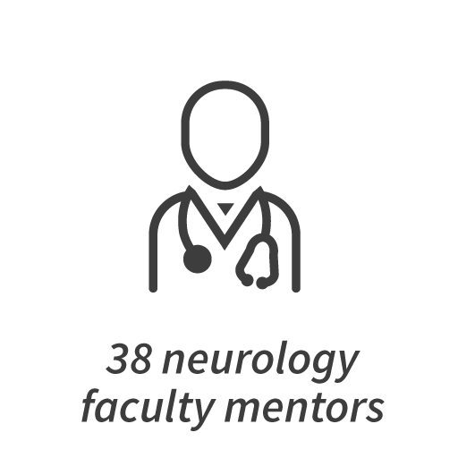 38 faculty mentors